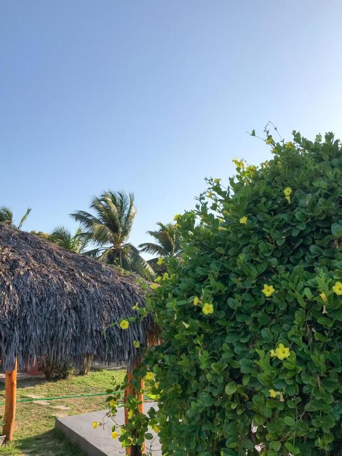 Pousada Aruna Kite Barra Grande  Luaran gambar